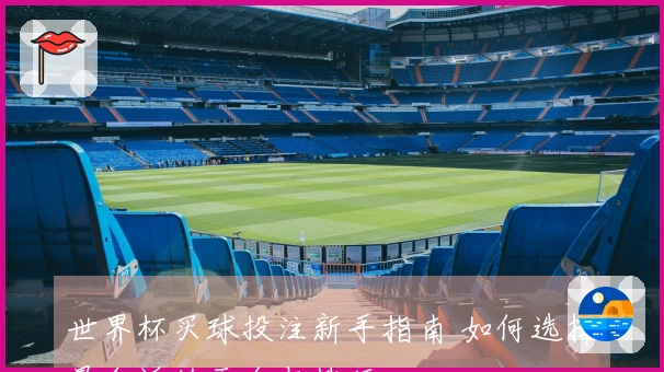 世界杯买球投注新手指南 如何选择最合适的平台与技巧